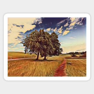 Trees along a footpath in the Swiss countryside Sticker